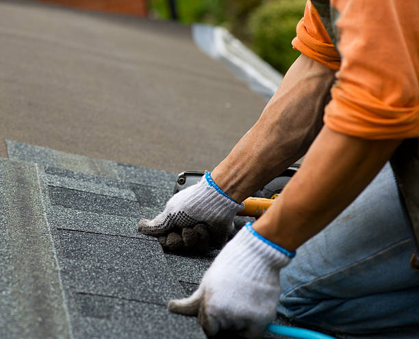 Best Roof Gutter Cleaning  in Ruston, LA